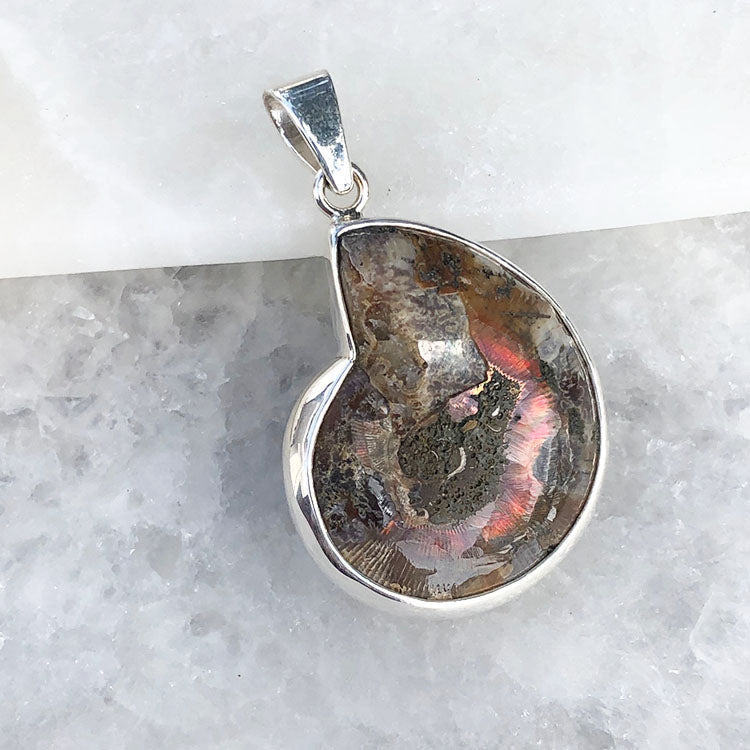 Dije Amonites con bisel de Plata