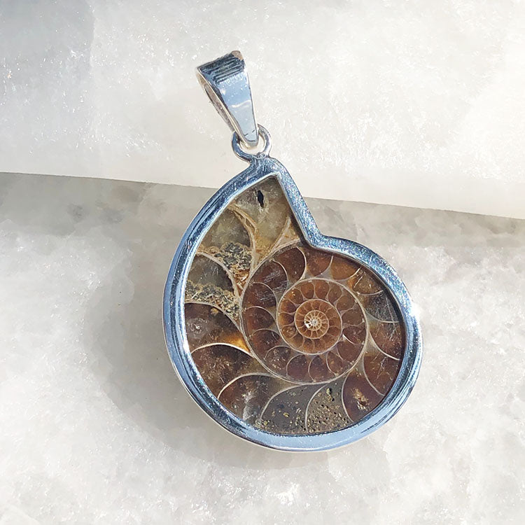 Dije Amonite con bisel de Plata