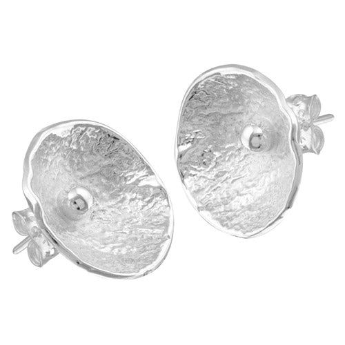 ARETES DE PLATA .925